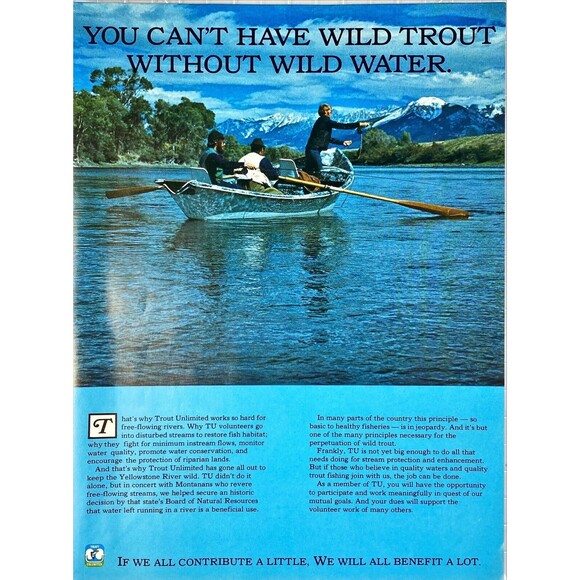 Trout Unlimited UL "Works so hard for free-flowing rivers" Vintage Print Ad 1981 - Picture 1 of 3